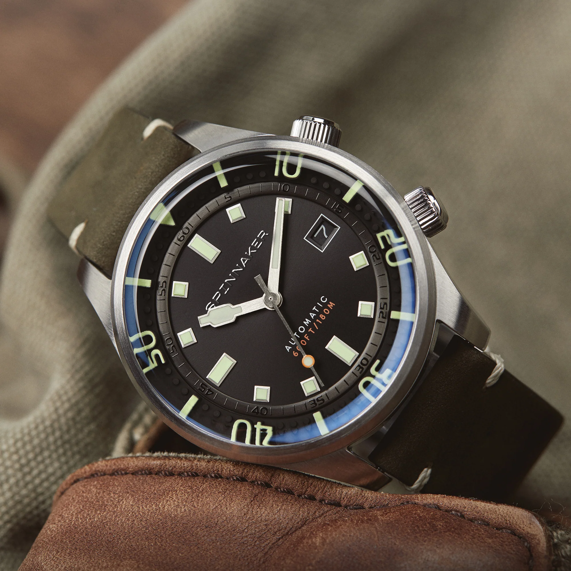 Olive - Image 2