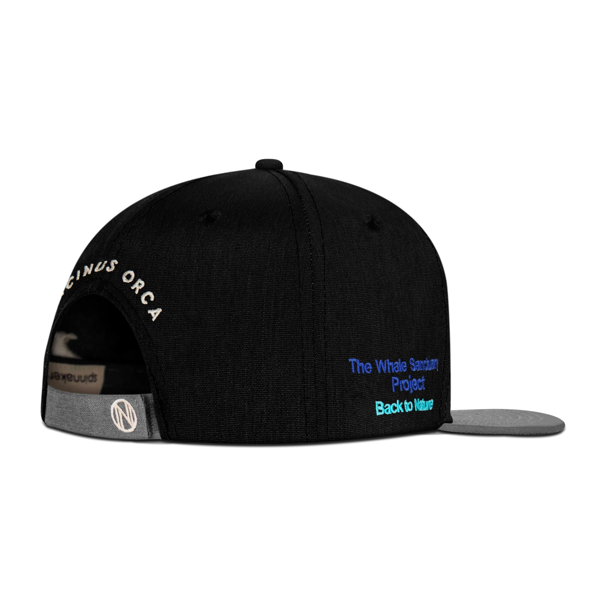 Orca - Image 3
