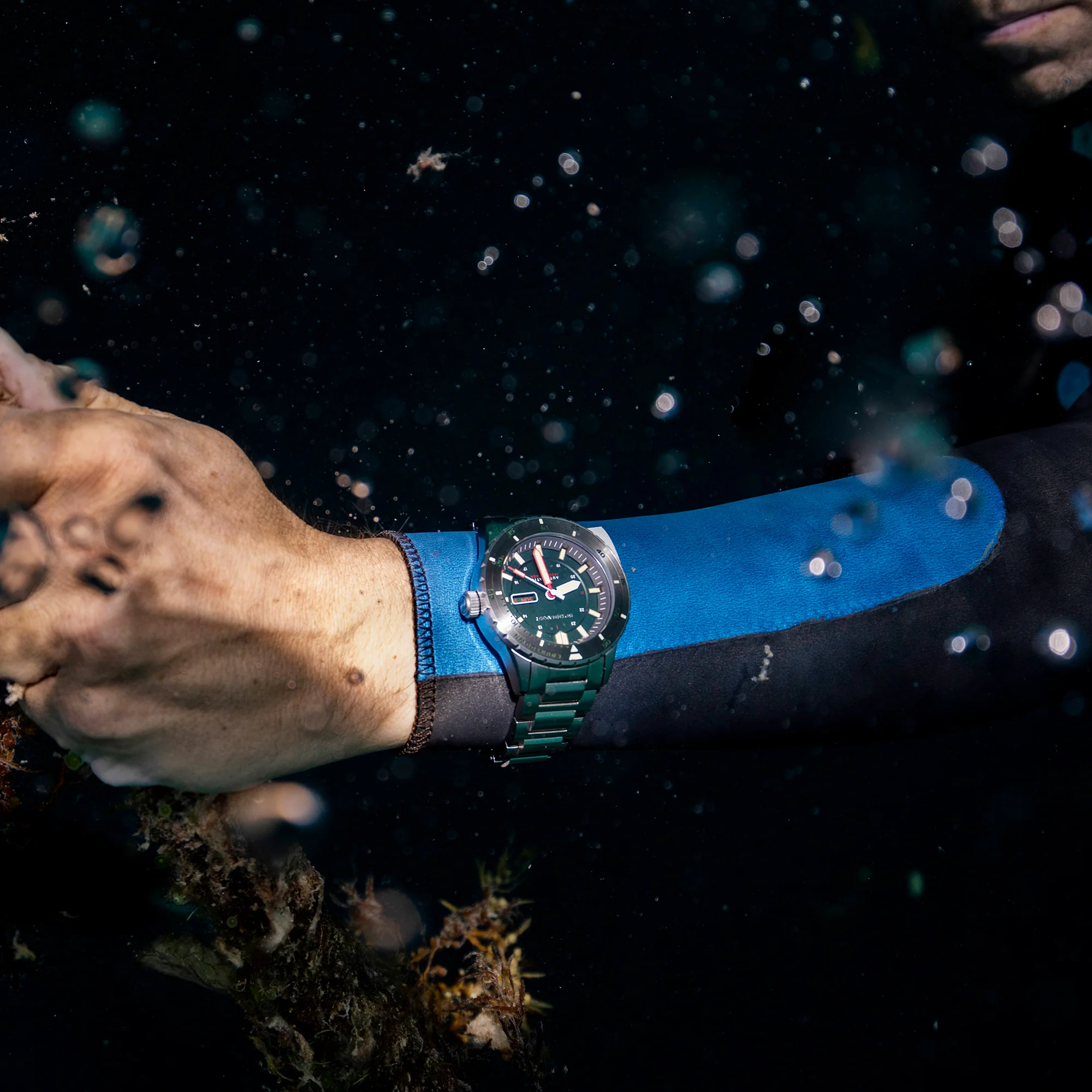 Kelp Green - Image 7